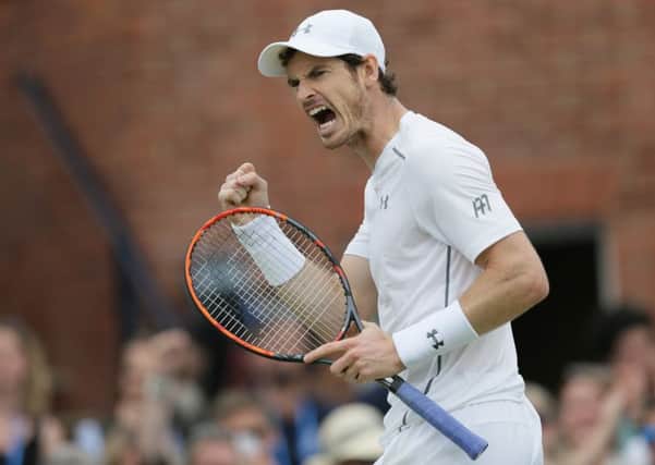 Andy Murray came back from behind to defeat Milos Raonic. Pic: Getty