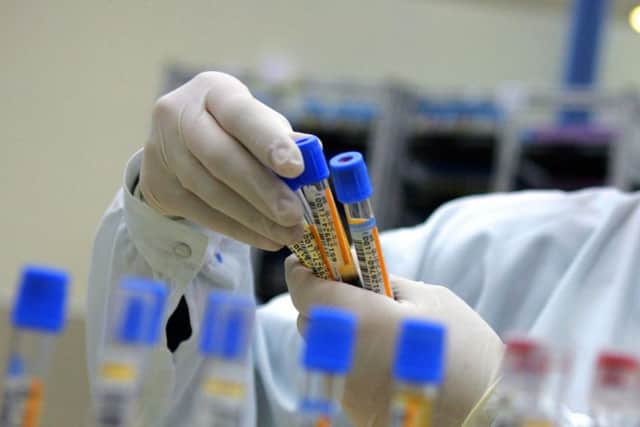 Mironid said the fundraising would enable the 'rapid acceleration' of its product pipeline. Picture: David Silverman/Getty Images