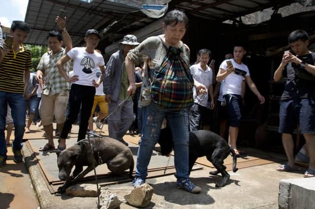 An animal rights activist takes two dogs from a Yulin stall after buying the animals to rescue them. Picture: AP