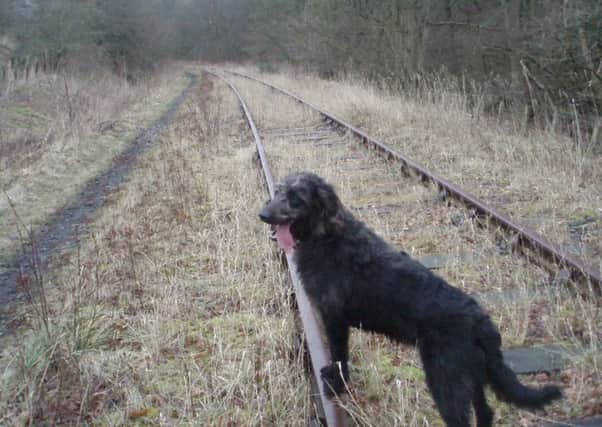 The mothballed line between Thornton Junction and Leven is used only by dog walkers, but campaigners want to see it reopened