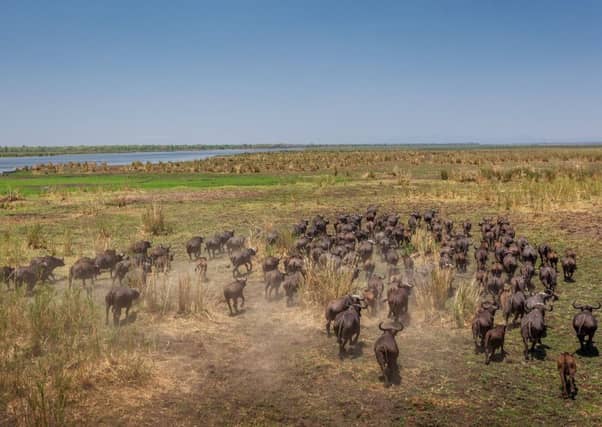 Liwonde National Park