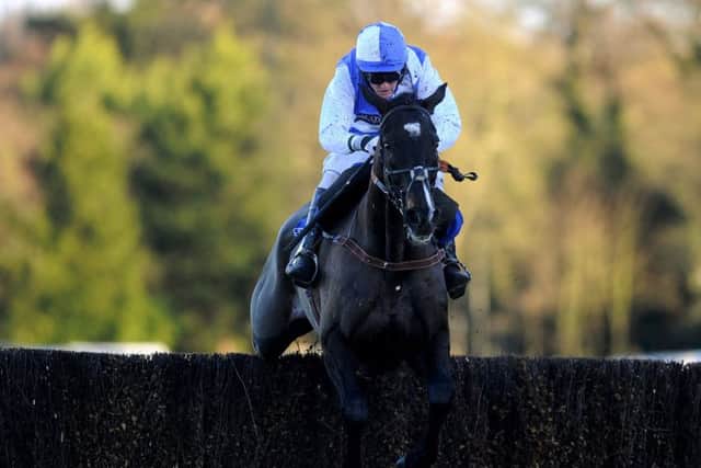 Lucinda Russell's Bold Sir Brian will be back over the bigger obstacles at Perth today. Picture: Alan Crowhurst/Getty Images