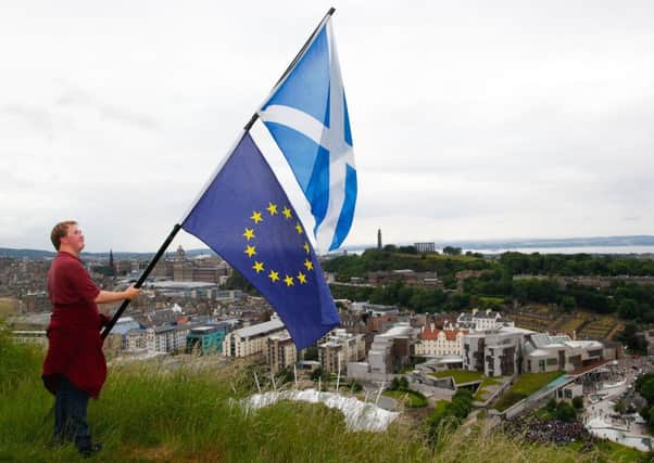James Fraser from Dunblane carries his distinctive standard at a pro-EU demo overlooking the parliament last Wednesday. Picture: Scott Louden