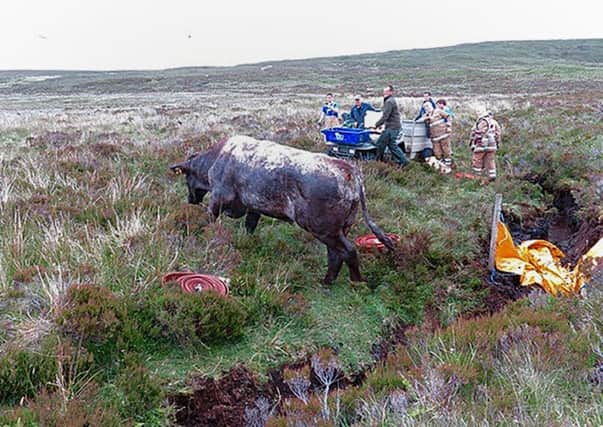 Some of the 15-strong firefighter crew after battling to rescue a bull which had been trapped in a ditch for two days on peatland on the Isle of Skye. Picture: PA