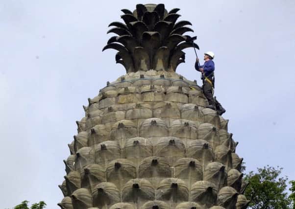 The Dunmore Pineapple is Scotland's most famous folly.Picture ALLAN MILLIGAN/TSPL