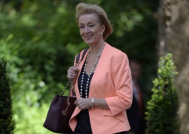 Andrea Leadsom replaces Liz Truss at Defra. Picture: Oli Scarff/AFP/Getty Images