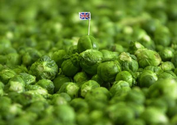 Eccentric Party calls for Brussels sprouts to be renamed after Brexit. Picture: PA photo/Haydn West