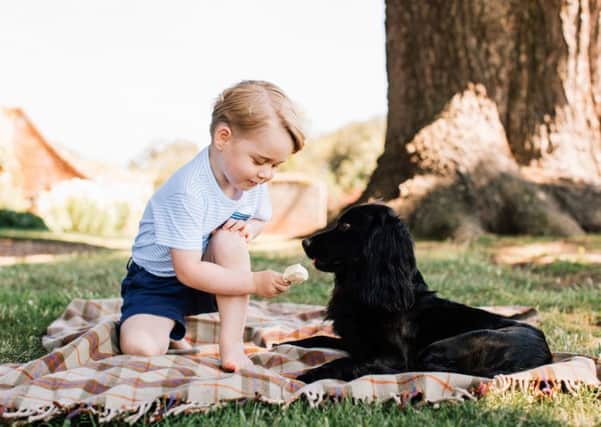 Prince George with the family dog Lupo at Sandringham in Norfolk. Picture: AFP PHOTO / DUKE AND DUCHESS OF CAMBRIDGE / Matt PORTEOUS /