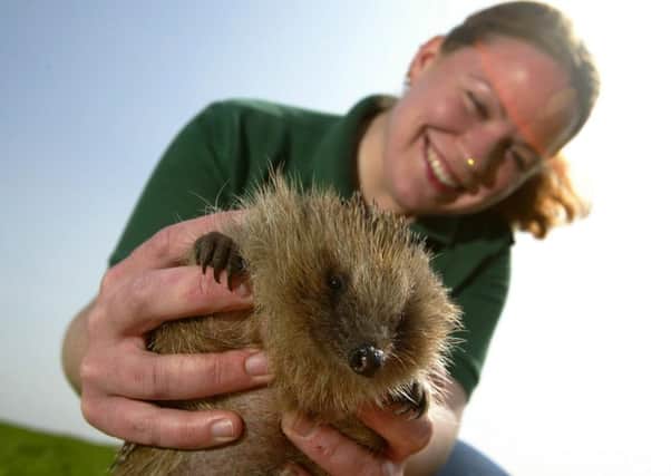 The SSPCA is rescuing and releasing more animals back into the wild than ever before. Picture: PA