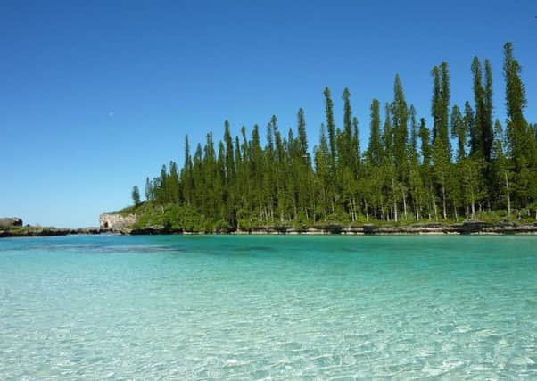 New Caledonia is a tiny French island in the Pacfic.