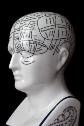 A porcelain phrenology head used in psychology