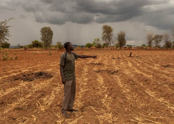 Malawi is facing its worst food crisis in decades after the worst drought in 35 years has followed serious floods, ruining crops across the country. Picture: Contributed