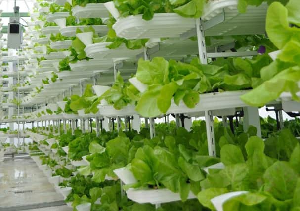 vertical farms could be used in urban areas around the world. Picture: Wikimedia/CC