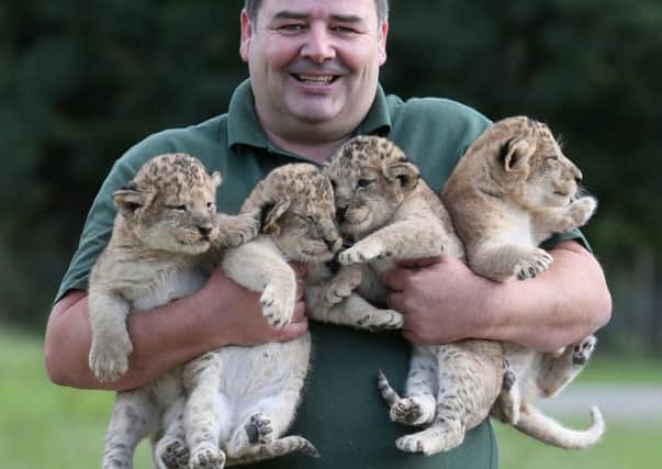 Keeper Brian Reid with the three-week-old cubs. Picture: Andrew Milligan/PA Wire