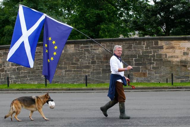A pro-EU campaigner makes his way to a demonstration outside the Scottish Parliament in the wake of the Brexit vote in June. Picture: Scott Louden/JP Resell