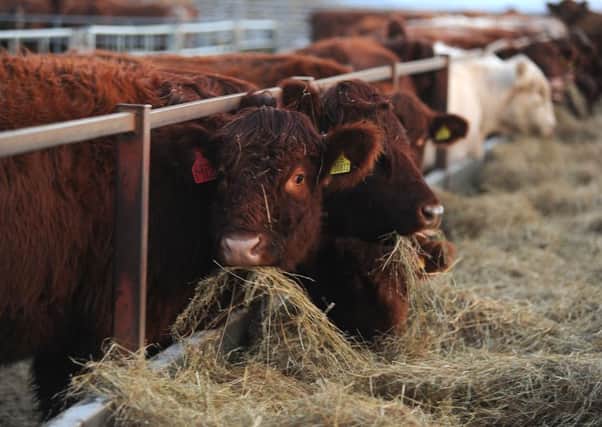 Meat wholesalers want to develop new regulations. Picture: Stuart Cobley