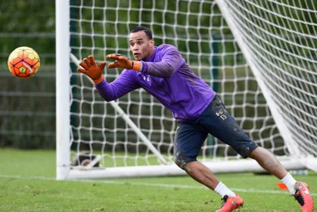 Michel Vorm has been linked with a move to Celtic and a reunion with former boss Brendan Rodgers. Picture: Getty Images