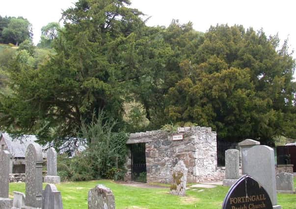 The Fortingall Yew, which is considered to be possibly the UKs oldest tree, has contributed to the new Royal Botanic Garden hedge in Edinburgh. Picture: