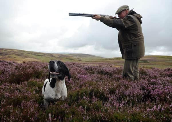Poor start to grouse shooting season being predicted. Picture: Phil Wilkinson/TSPL