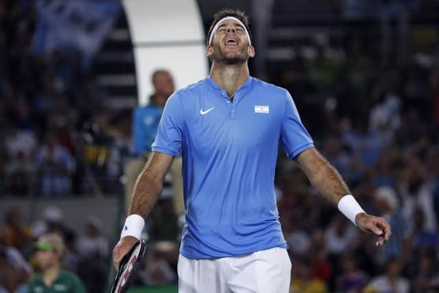 Del Potro was brave but ultimately fell short