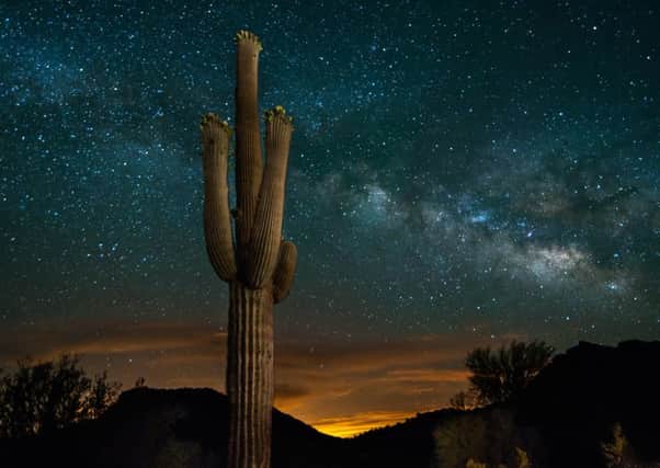 A saguaro cactus in the desert beneath the Milky Way. Picture: Getty Images/iStockphoto