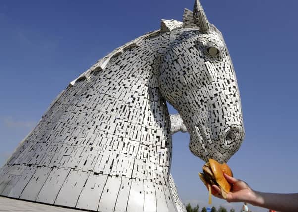 The  Kelpie burger being fed to Duke, one of the Kelpies. Picture: Michael Gillen/ Johnston Press