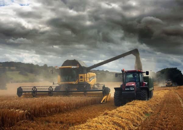 Producers are urged to take care while harvesting. Picture: Scott Barbour/Getty Images
