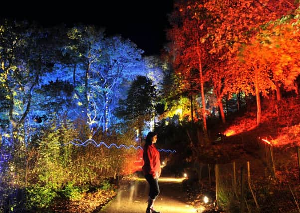 The Enchanted Forest sound and light show attracted 62,000 people last year. Picture: Jane Barlow