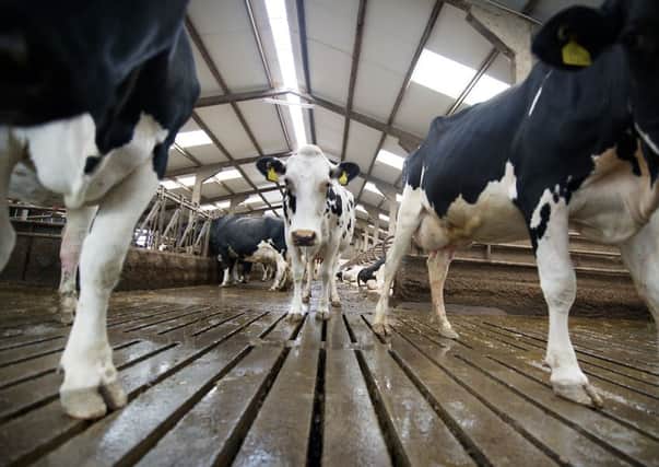 Farmers have been urged to challenge buyers over milk prices. Picture: John Devlin