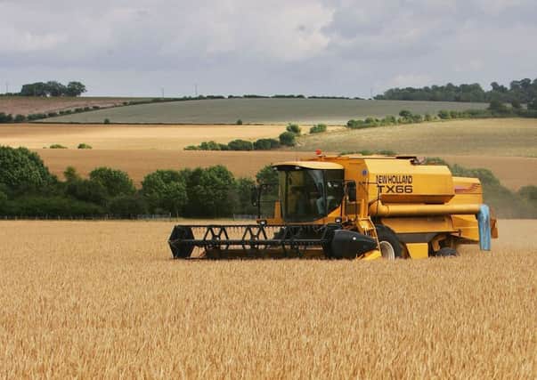 The spring barley harvest is behind that in England. Picture: Scott Barbour/Getty Images