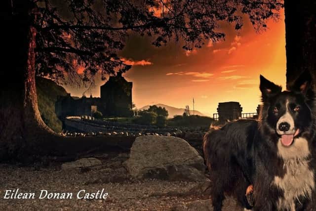 Blaze, who lives on Skye with owner Steve Millar, is the star of his own calendar to raise funds for the islands mountain rescue team. Picture: Steve Millar