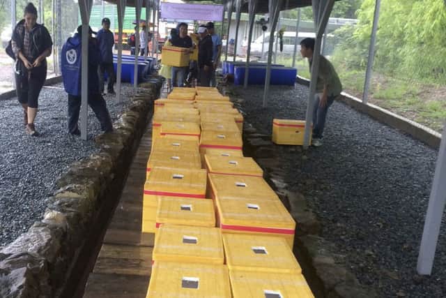 Boxes containing Royal Turtles are prepared for release. (Mengey Eng/Wildlife Conservation Society via AP)