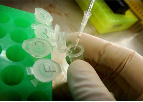 Glasgow University scientists have discovered a way to replicate regenerative stem cells.