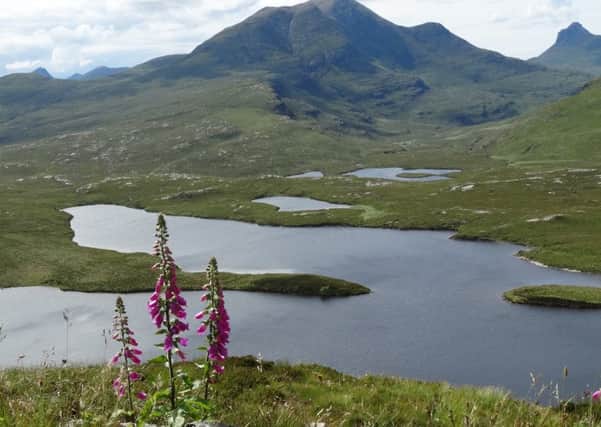 scotsman readers gallery 31/07/15
The other picture was taken at Knockan Crag north of Ullapool last Sunday - Ben More Coigach and Stac Polly.
 
Robert Bain
 
Balnaguard near Pitlochry