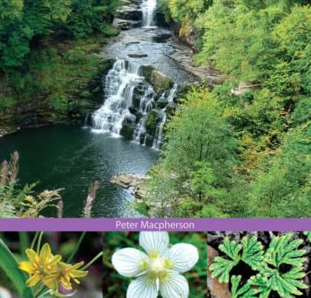 The Flora of Lanarkshire is published by NatureBureau