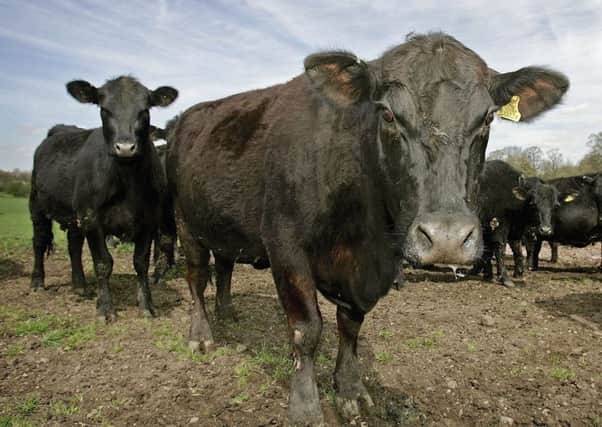 Even after Brexit, the UK will not have a blank canvas for new agricultural policies. Picture: Christopher Furlong/Getty Images