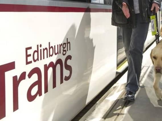 A guide dog being trained to help disabled passengers use Edinburgh Trams. Picture: Edinburgh Trams