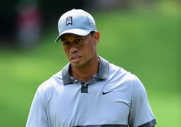 US team will benefit from Tiger Woods' presence at Hazeltine says Butch Harmon. Picture: Getty.