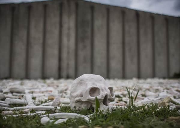 A ceramic skull is part of The One Million Bones project in front of the hall at the Potocari cemetery. Picture: Matej Divizna/Getty