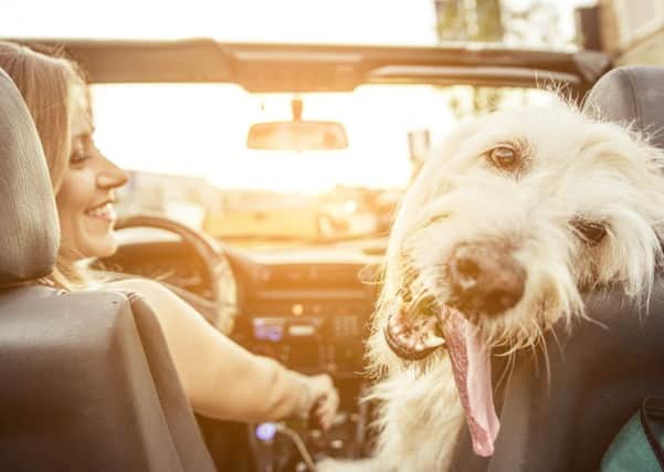 Motor and pet insurance are affected by the rises in IPT. Picture: Getty