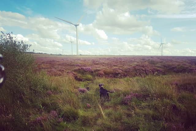 Whitelee Windfarm has laid claim to being the most Instagrammed windfarm in the world. Picture: Contributed