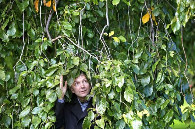 Dr Max Coleman, of the Royal Botanic Garden Edinburgh, looks at the leaves of one of two 100ft tall Wentworth elms which have been discovered within the grounds of the Palace of Holyroodhouse. Pic: Jane Barlow/PA Wire