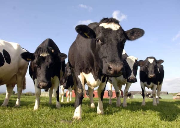 Historically we are a carnivore nation, with meat-eating deeply ingrained in our diet and culture. Picture: Ian Rutherford