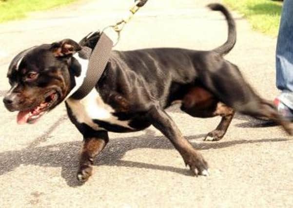 Vickilee Galloway ordered her pet Staffordshire Bull Terrier to attack. File picture