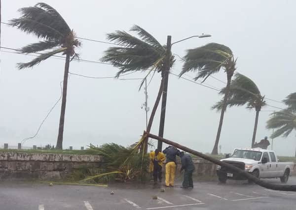 Maintainance workers try to remove a tree from a road in Nassau, New Providence island in the Bahamas. Picture: Getty