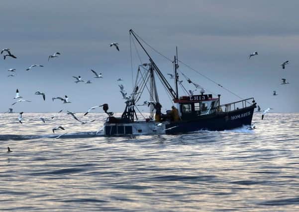 Skippers from other EU countries landed 58 per cent of the UK fish and shelfish catch. Picture: David Cheskin/PA Wire
