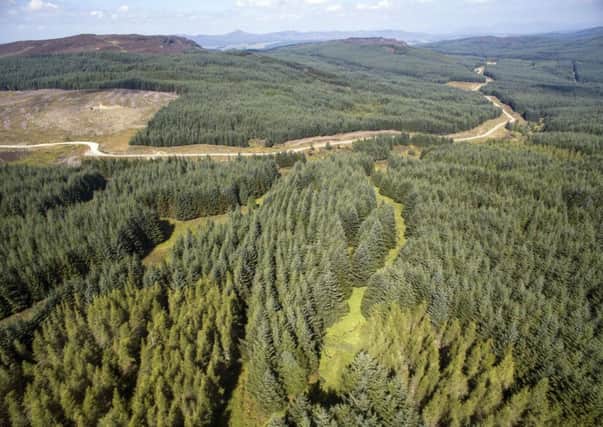 The Moness Forest Estate in Perthshire, Scotland. Picture: SWNS