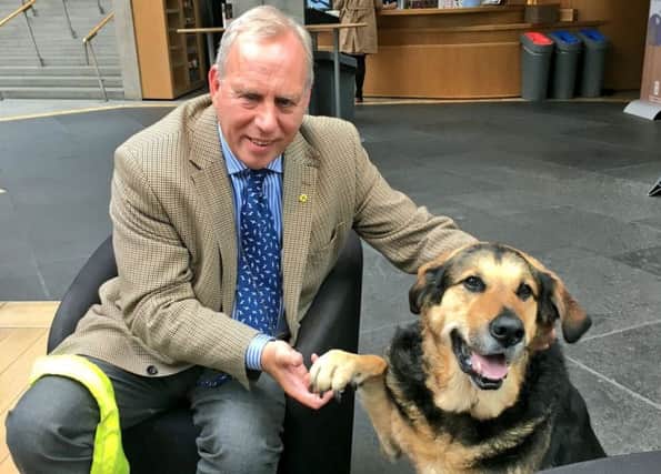 Dennis Robertson, left, and Mr Q in the Scottish Parliament. Picture: Mr_Q_Dog/Twitter