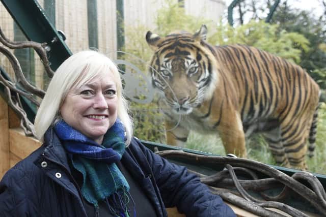 Barbara Smith, chief executive of the Royal Zoological Society Of Scotland, in front of the new tiger enclosure at Edinburgh. Picture: Greg Macvean/TSPL