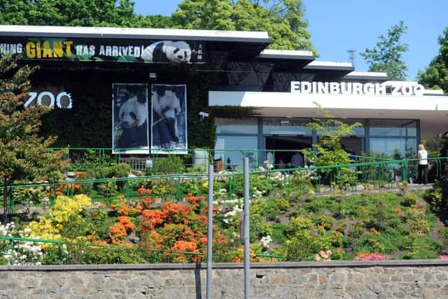 Edinburgh Zoo has been based on the slopes of Corstorphine Hill since 1913. Picture: Dan Phillips/TSPL